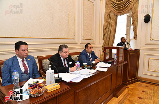لجنة الشؤون الخارجية و العربية و الأفريقية بمجلس الشيوخ  (5)