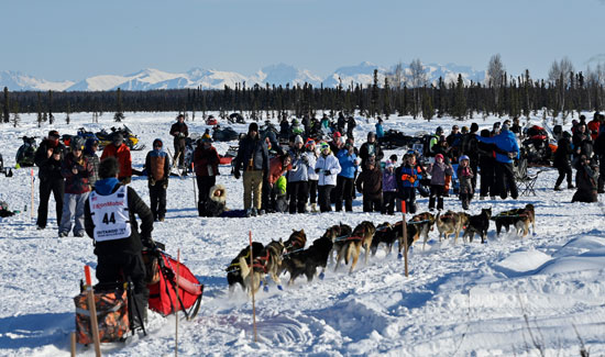 تزلج الكلاب على جبال الاسكا (2)
