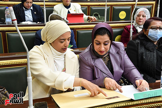 المرأة فى مجلس النواب (6)