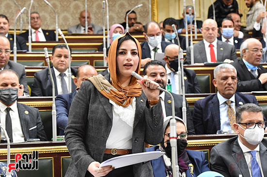 المرأة فى مجلس النواب (4)