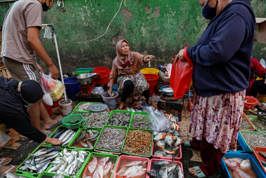 تجفيف الأسماك فى اندونيسيا (2)