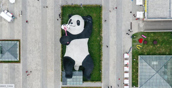 تمثال الدب الصينى (2)