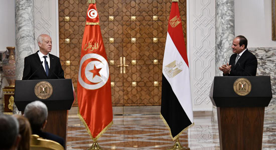 القمة المصرية التونسية (5)
