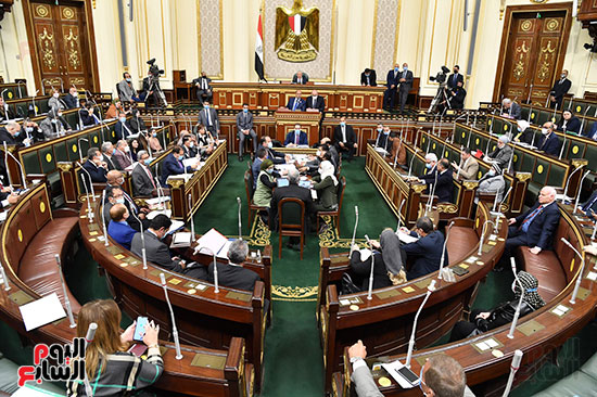 الجلسة العامة لمجلس النواب (5)