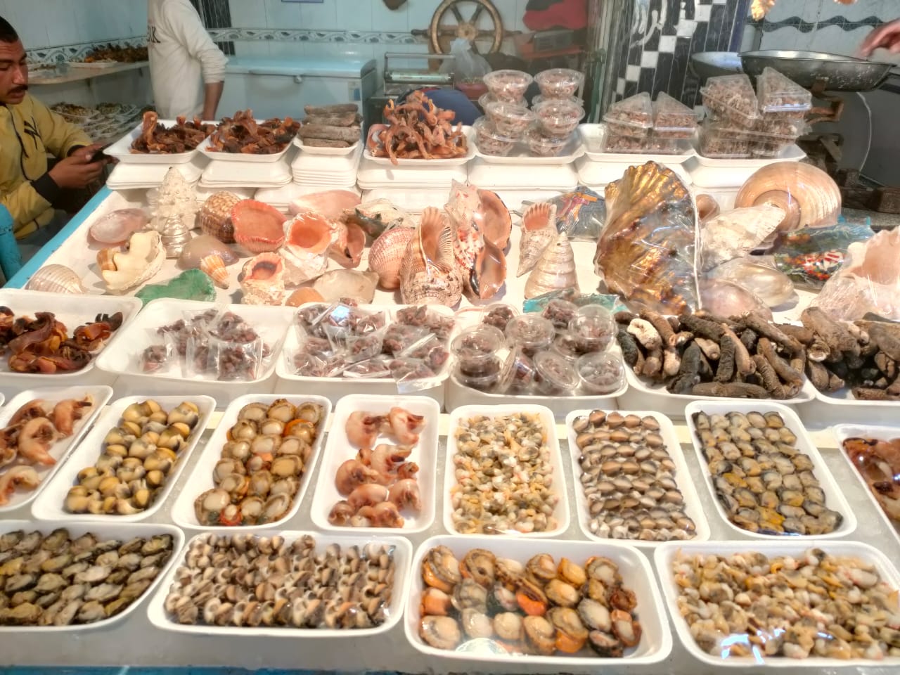 سوق الأنصاري للاسماك بمحافظة السويس (5)