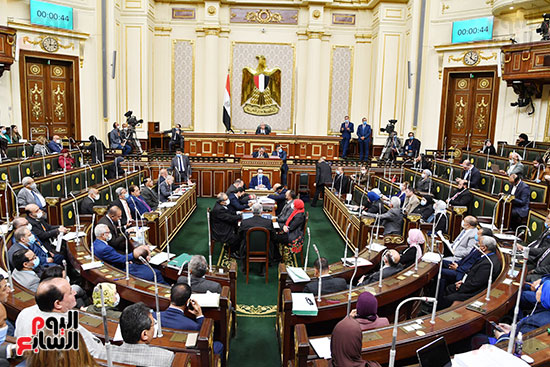 مجلس النواب (7)