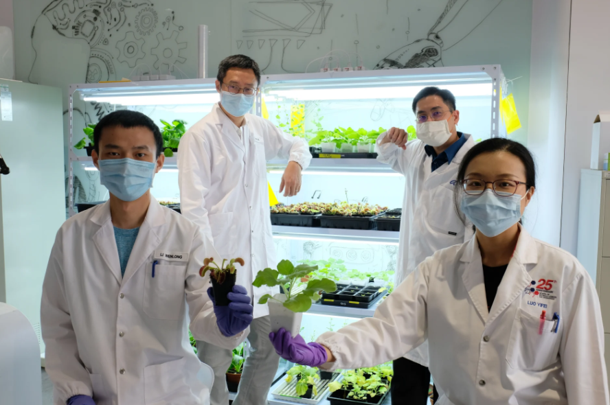 أعضاء فريق البحث أعضاء فريق البحث