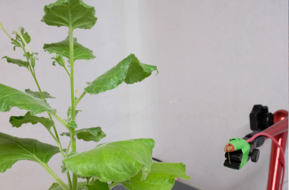 الأداة الأداة