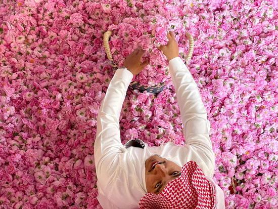 مدينة الورود فى السعودية تتحول إلى لوحة وردية تزدهر خلال رمضان (8)