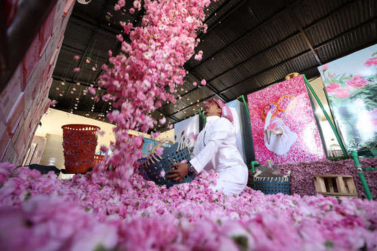مدينة الورود فى السعودية تتحول إلى لوحة وردية تزدهر خلال رمضان (2)