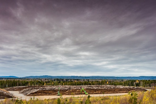 السويد هي ثالث أكبر مصدر في العالم للأخشاب المنشورة