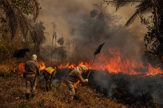 يكافح رجال الإطفاء حريقًا في مزرعة ساو فرانسيسكو دي بيريجارا