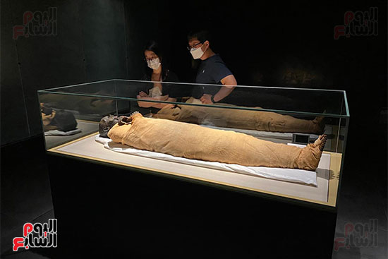 المومياوات الملكية متاحة لاستقبال الزوار بالمتحف القومى للحضارة (1)