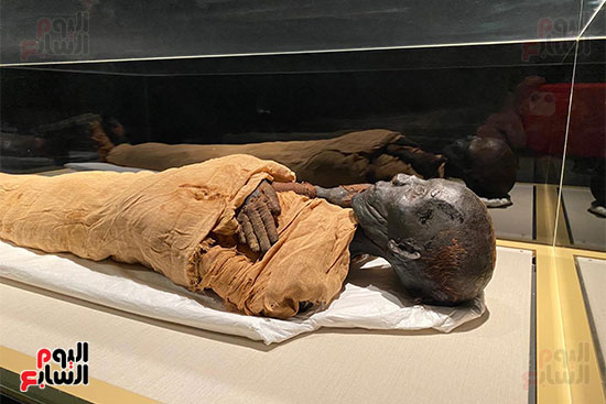 المومياوات الملكية متاحة لاستقبال الزوار بالمتحف القومى للحضارة (9)