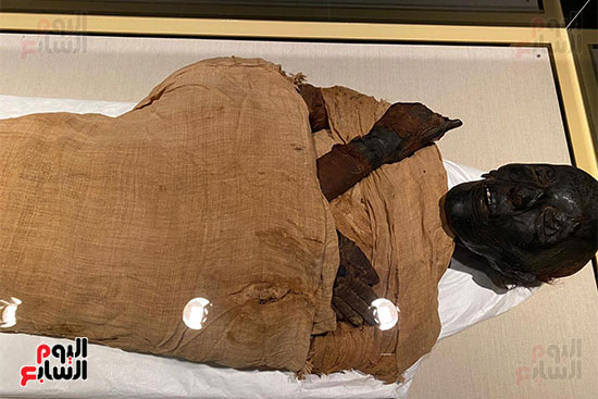 المومياوات الملكية متاحة لاستقبال الزوار بالمتحف القومى للحضارة (10)