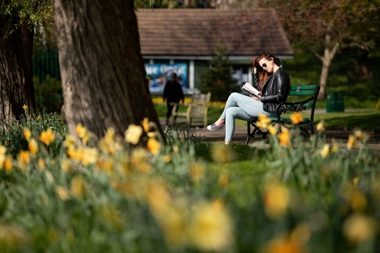 امرأة تقرأ في حديقة سانت نيكولاس