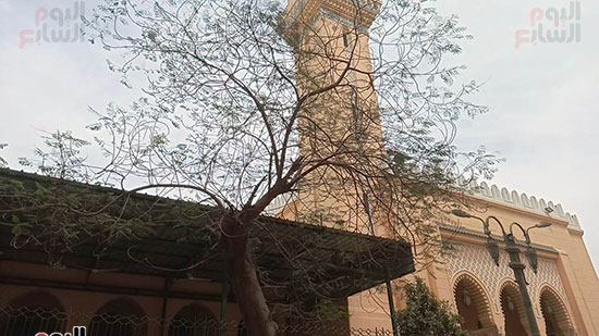 مسجد سيدى أحمد الفولى  (5)