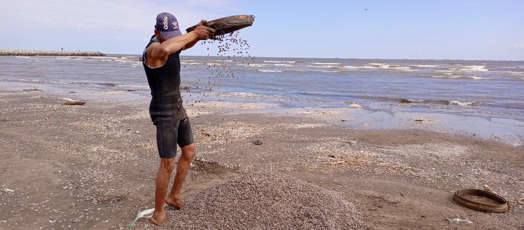 صياد ام الخلول على شاطىء البحر المتوسط يقوم  بتنظيفها من ألا صداق