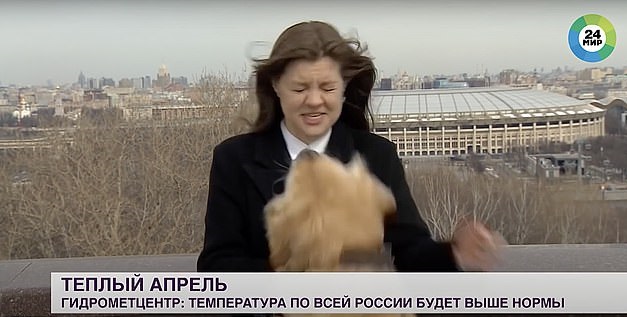 كلب يسرق ميكروفون مذيعة الطقس أثناء بث مباشر في موسكو.. فيديو (1)