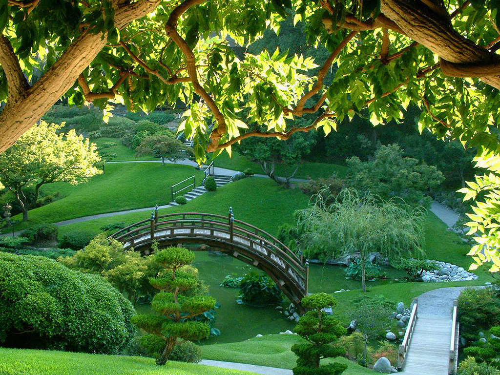 Japanese Green Garden