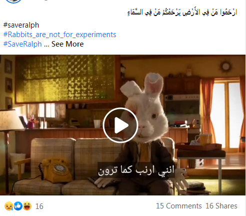 رواد السوشيال ميديا عن تعذيب الأرانب