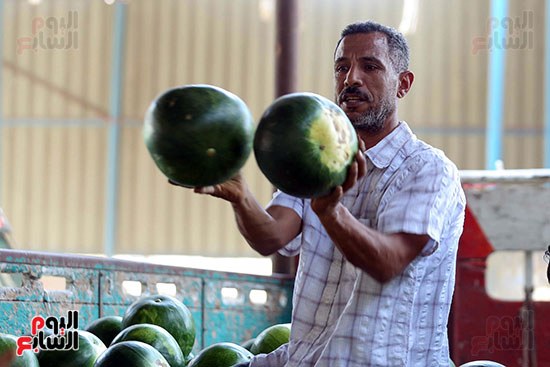 رجل يبيع البطيخ