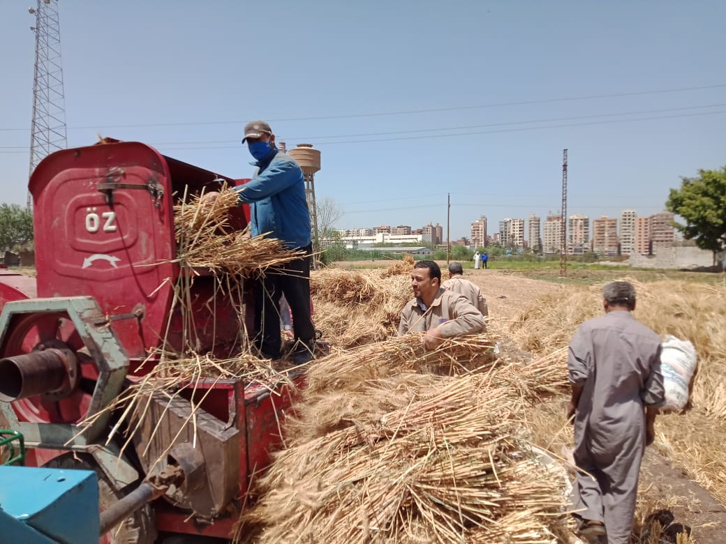 الدريس وقت الحر الدريس وقت الحر
