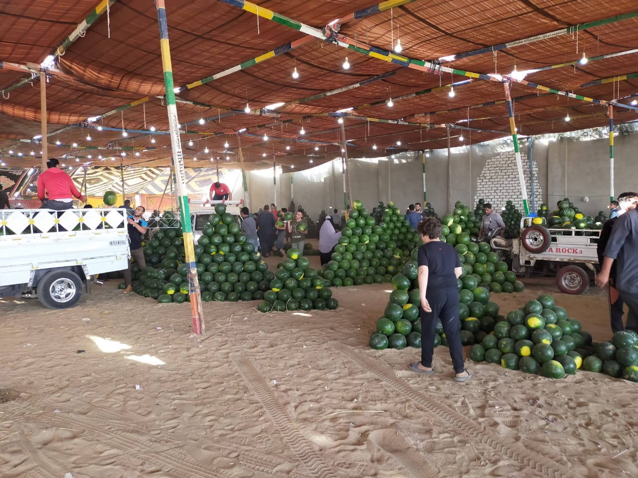 سوق البطيخ بالمحلة البيع على النوتة وعلى السكين (12)