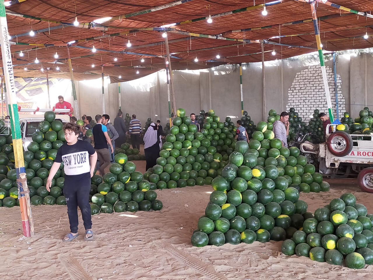 سوق البطيخ بالمحلة البيع على النوتة وعلى السكين (10)