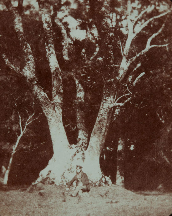 بدأت تجارب تالبوت الوليدة مع التصوير الفوتوغرافي في ربيع عام 1834
