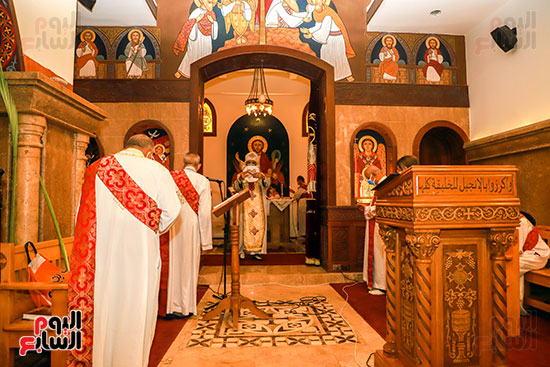 الكنيسة الأرثوذكسية تحتفل اليوم بأحد الشعانين (15)