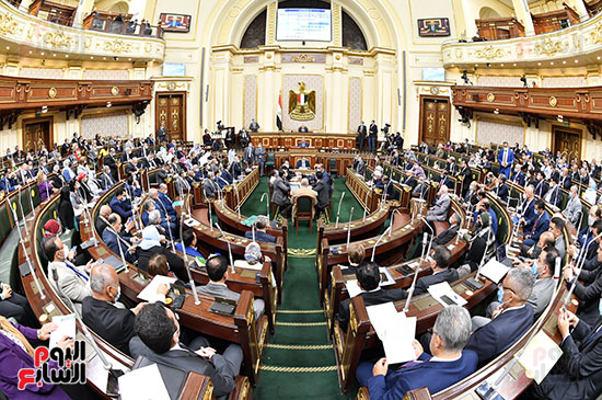  الجلسة العامة لمجلس النواب  (11)