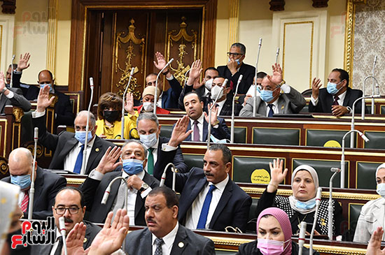  الجلسة العامة لمجلس النواب  (2)