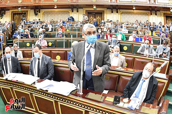 الجلسة العامة لمجلس النواب (15)