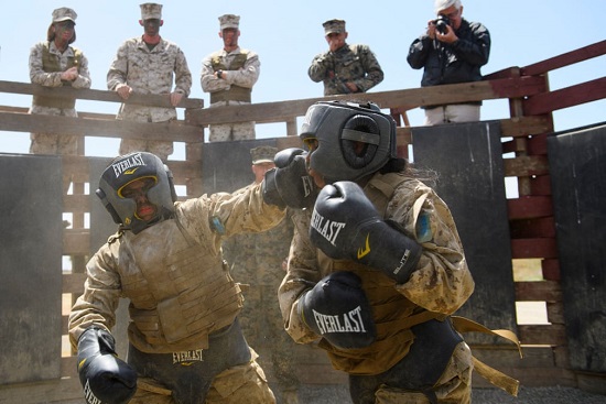 المجندون يتنافسون خلال الجزء الأخير من التدريب