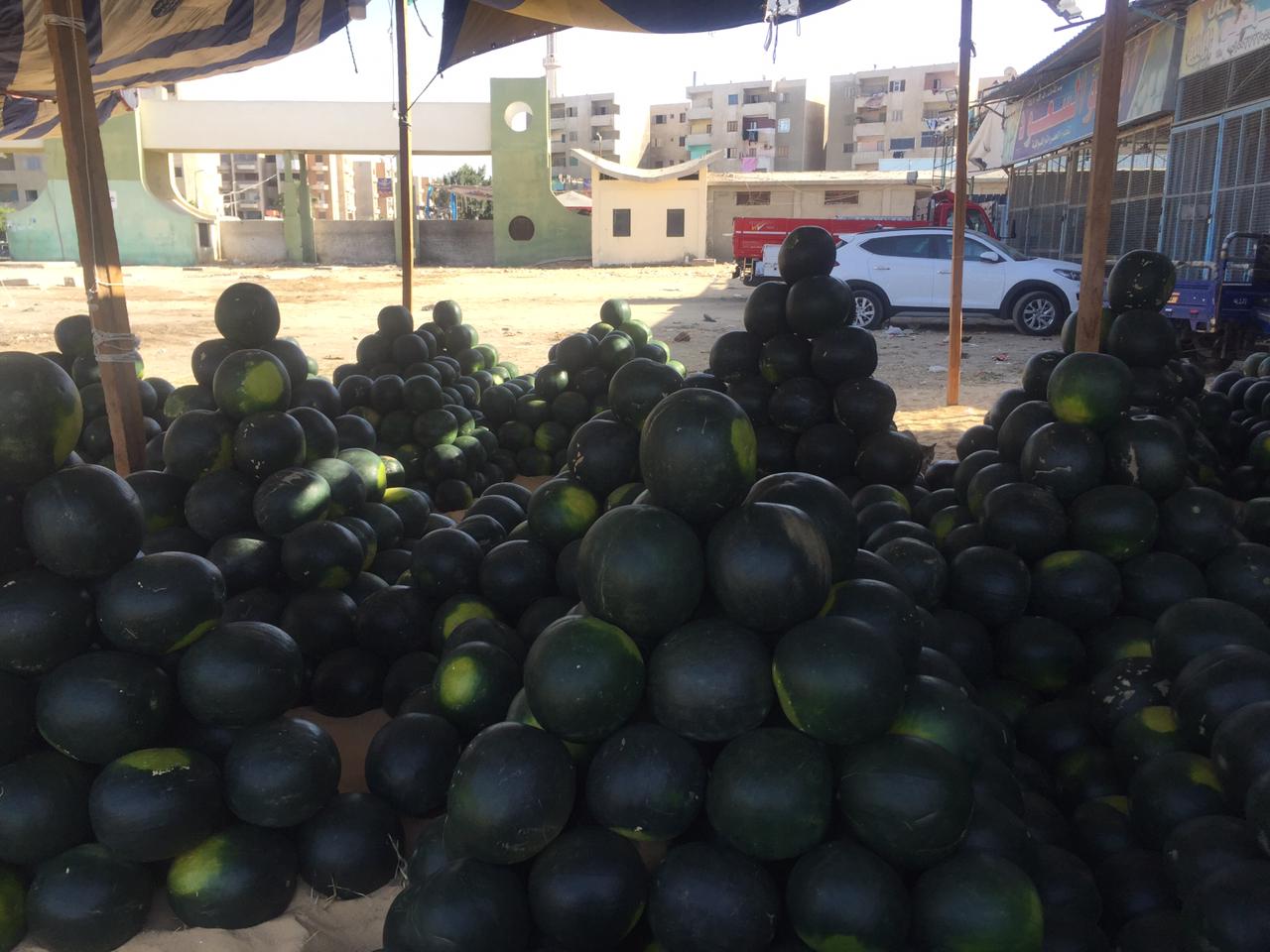 سوق البطيخ بالإسماعيلية (2)
