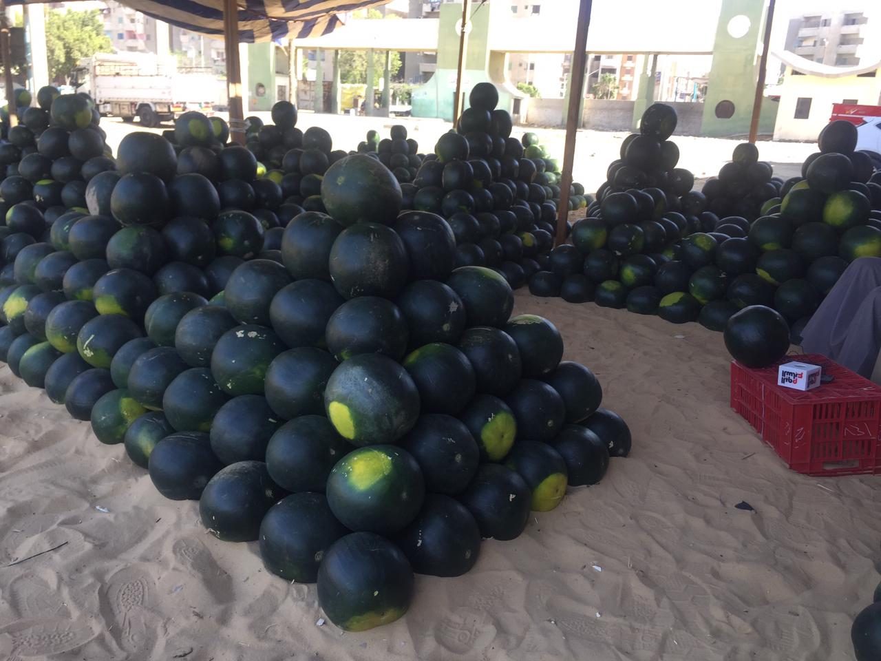 سوق البطيخ بالإسماعيلية (6)