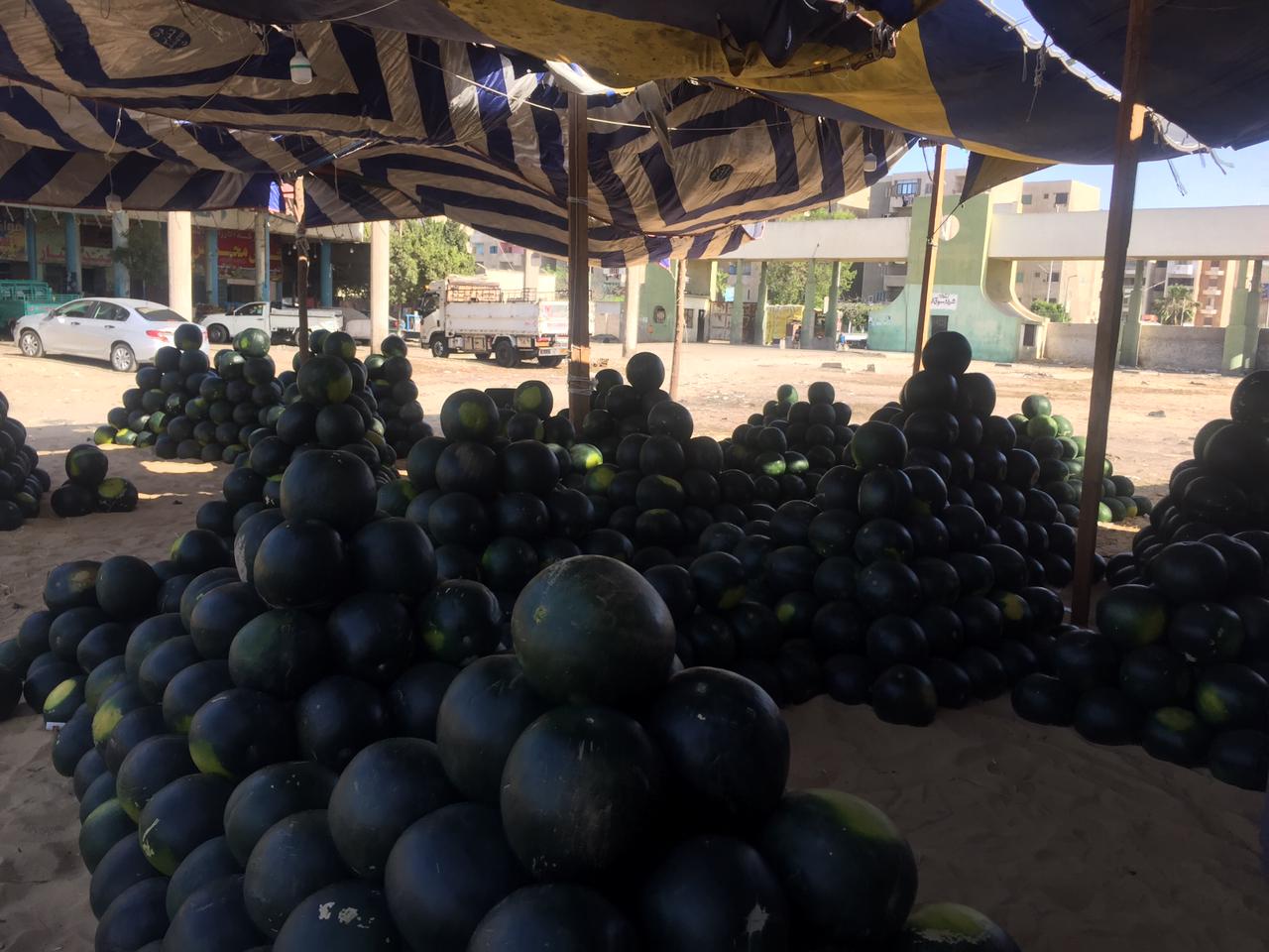 سوق البطيخ بالإسماعيلية (4)