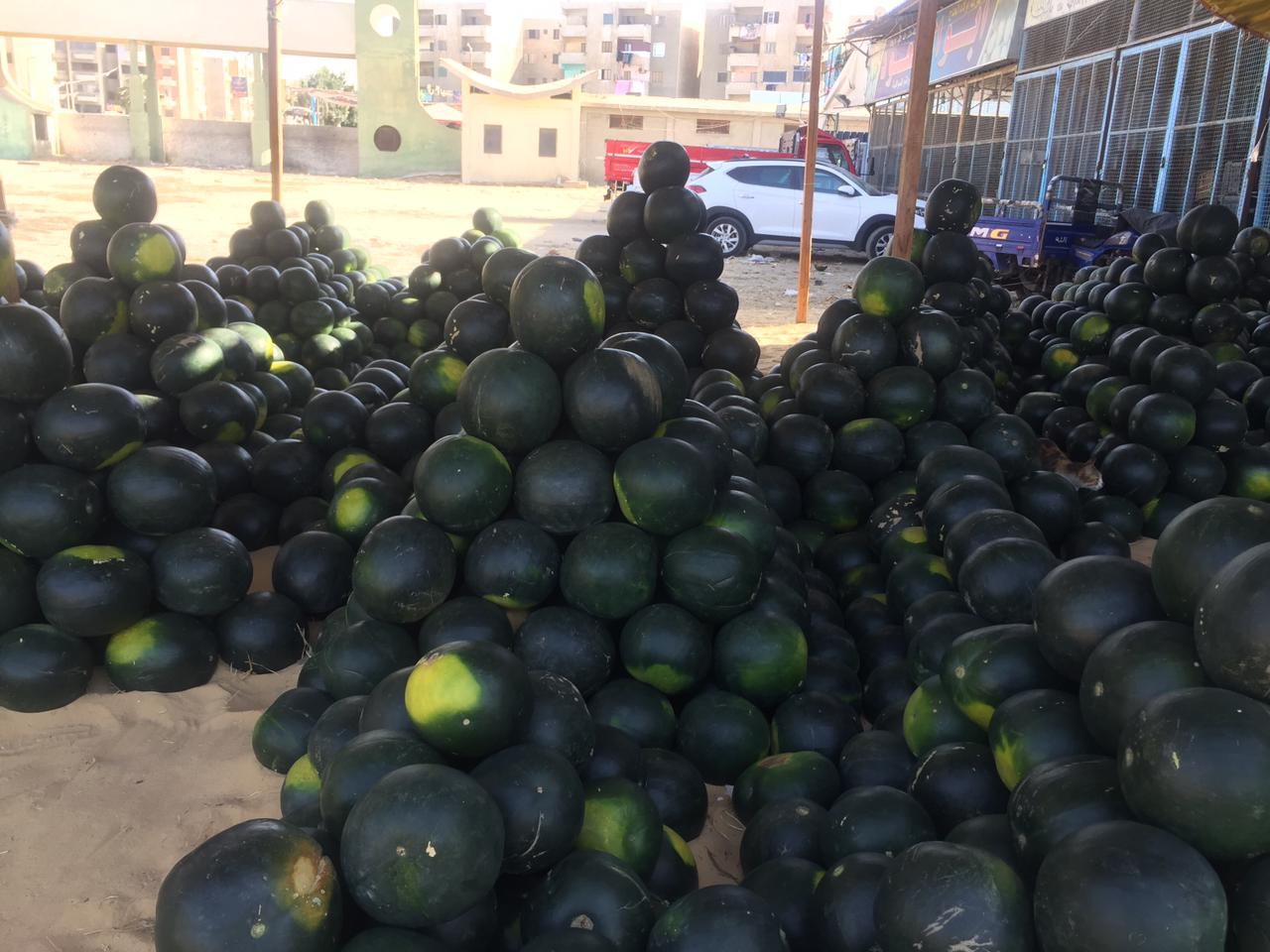 سوق البطيخ بالإسماعيلية (5)