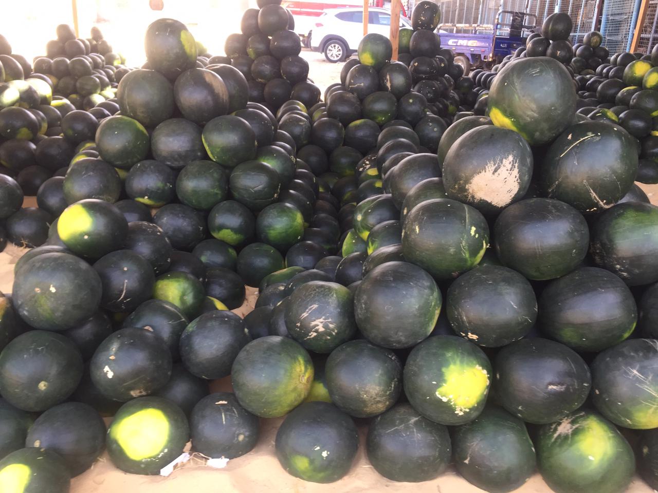 سوق البطيخ بالإسماعيلية (7)