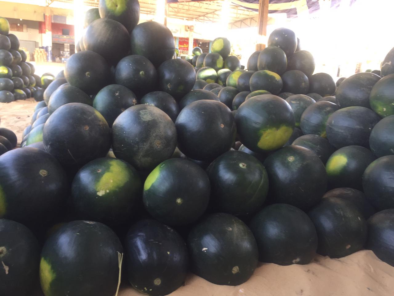 سوق البطيخ بالإسماعيلية (8)