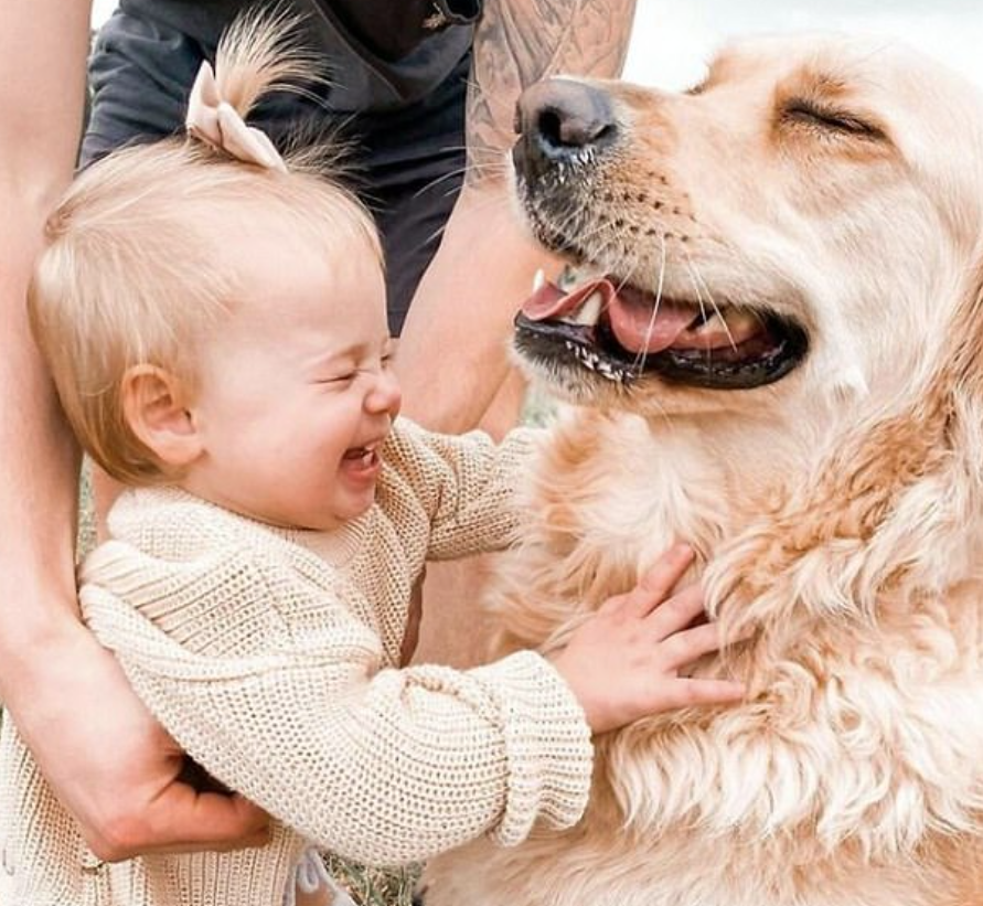 الكلب والطفلة