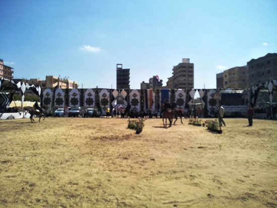 مهرجان-الخيول-العربية-بكوم-حمادة-(11)