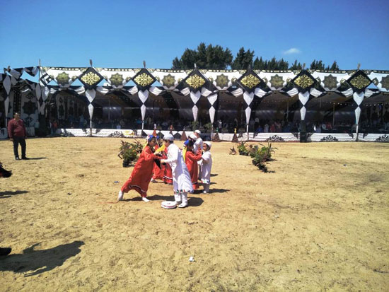 مهرجان-الخيول-العربية-بكوم-حمادة-(4)