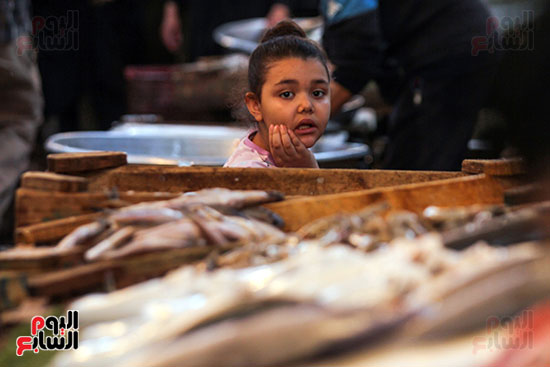 سوق السمك (2)