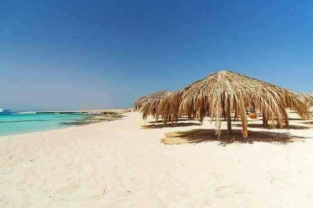  الجزر البحرية تحل محل الشواطئ المغلقة في العيد  (1)