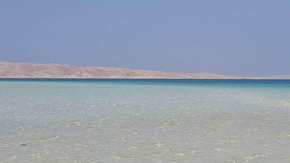  الجزر البحرية تحل محل الشواطئ المغلقة في العيد  (5)