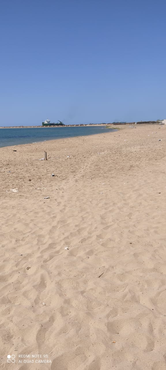 شاطئ فى الإسكندرية بلا زوار