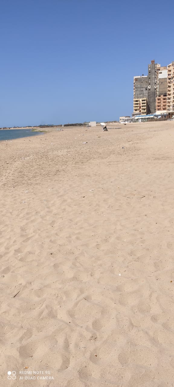 شواطئ اسكندرية