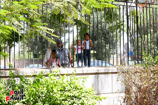 الاحتفال من خلف القضبان.. كورونا لم يمنع الأطفال من بهجة العيد فى حديقة الحيوان (1)
